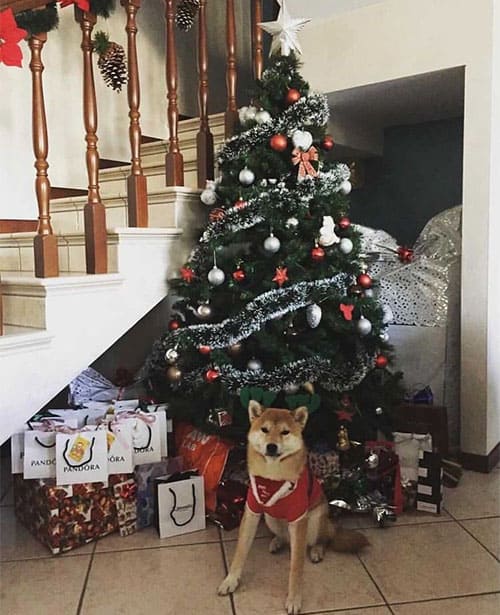 christmas-decorations-151