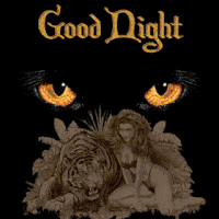 good-night-gif102.gif