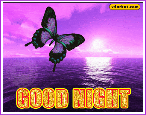 good-night-gif12.gif