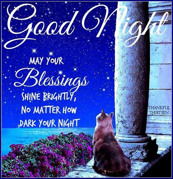 good-night-wishes117.jpg
