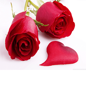 whatsapp-sticker-321